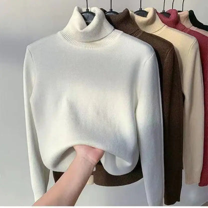 Sherpa Turtleneck